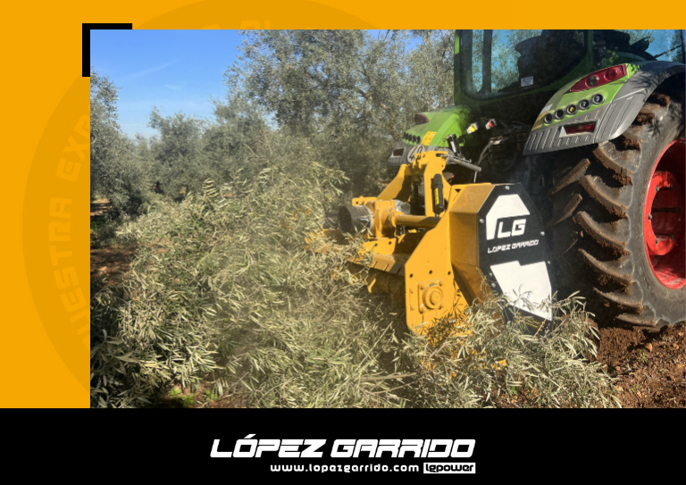 blog lopez garrido portada olivar
