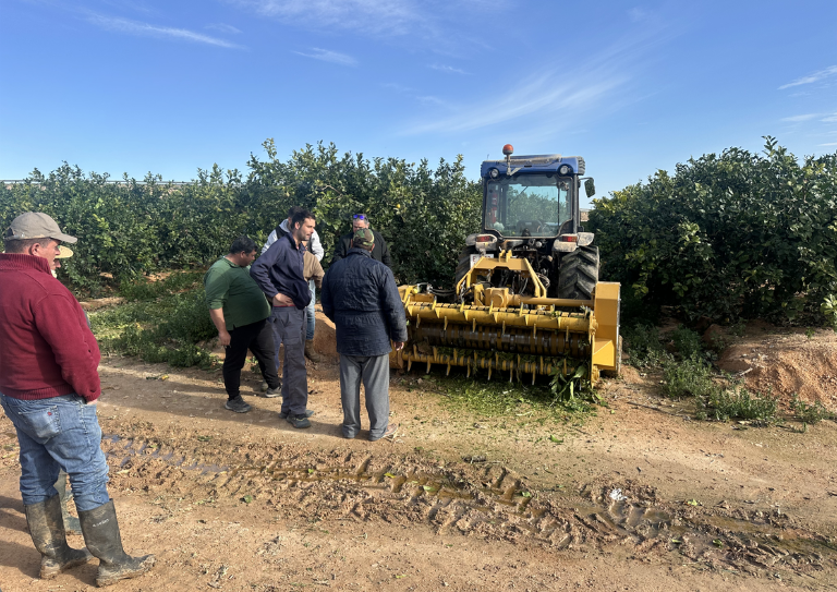 blog balance 2025 demo profesionales blog balance 2025 demo profesionales