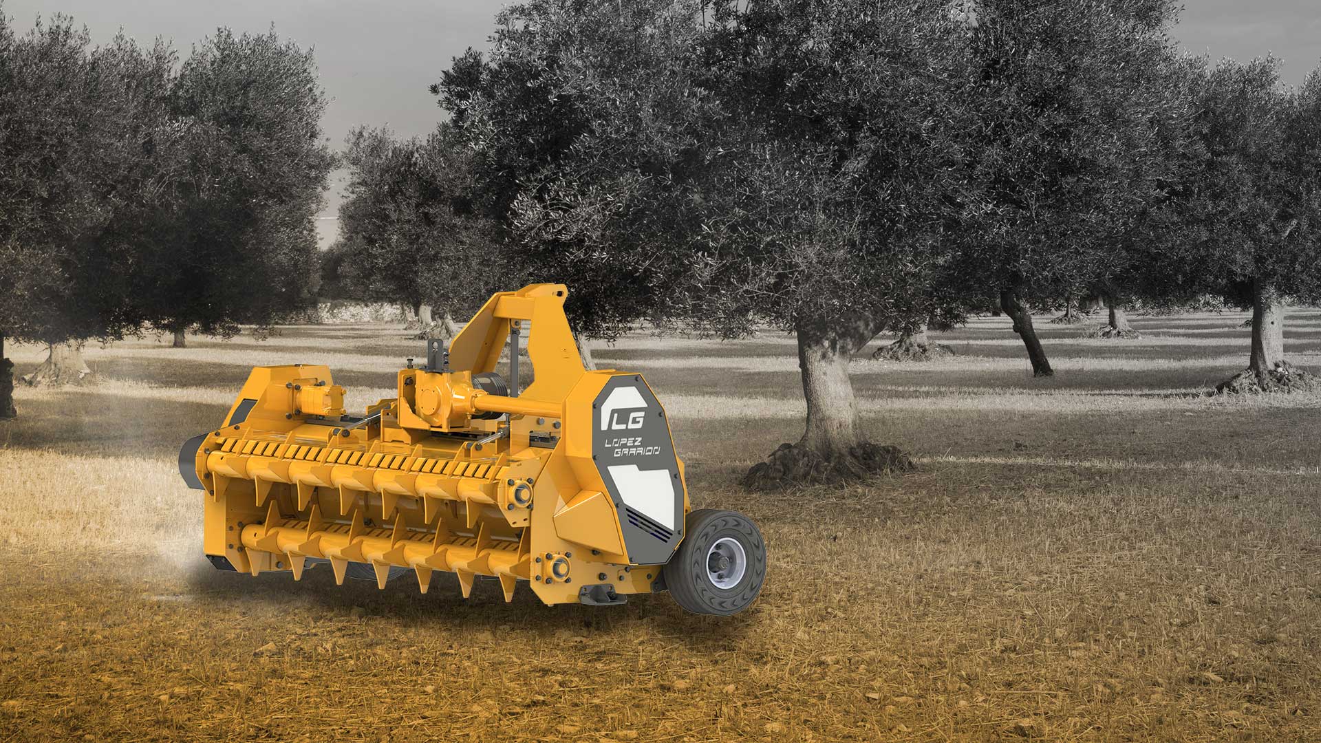 trituradora alimentada (1)